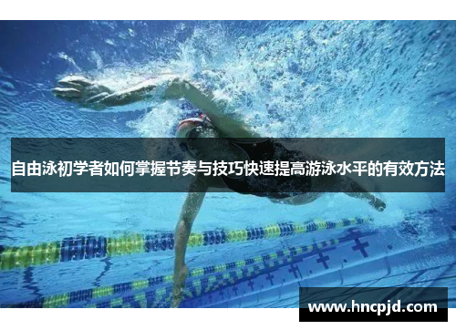 自由泳初学者如何掌握节奏与技巧快速提高游泳水平的有效方法