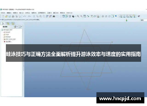 蛙泳技巧与正确方法全面解析提升游泳效率与速度的实用指南