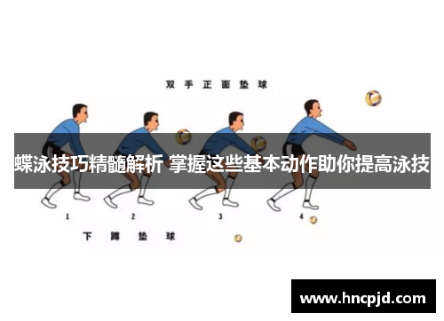 蝶泳技巧精髓解析 掌握这些基本动作助你提高泳技